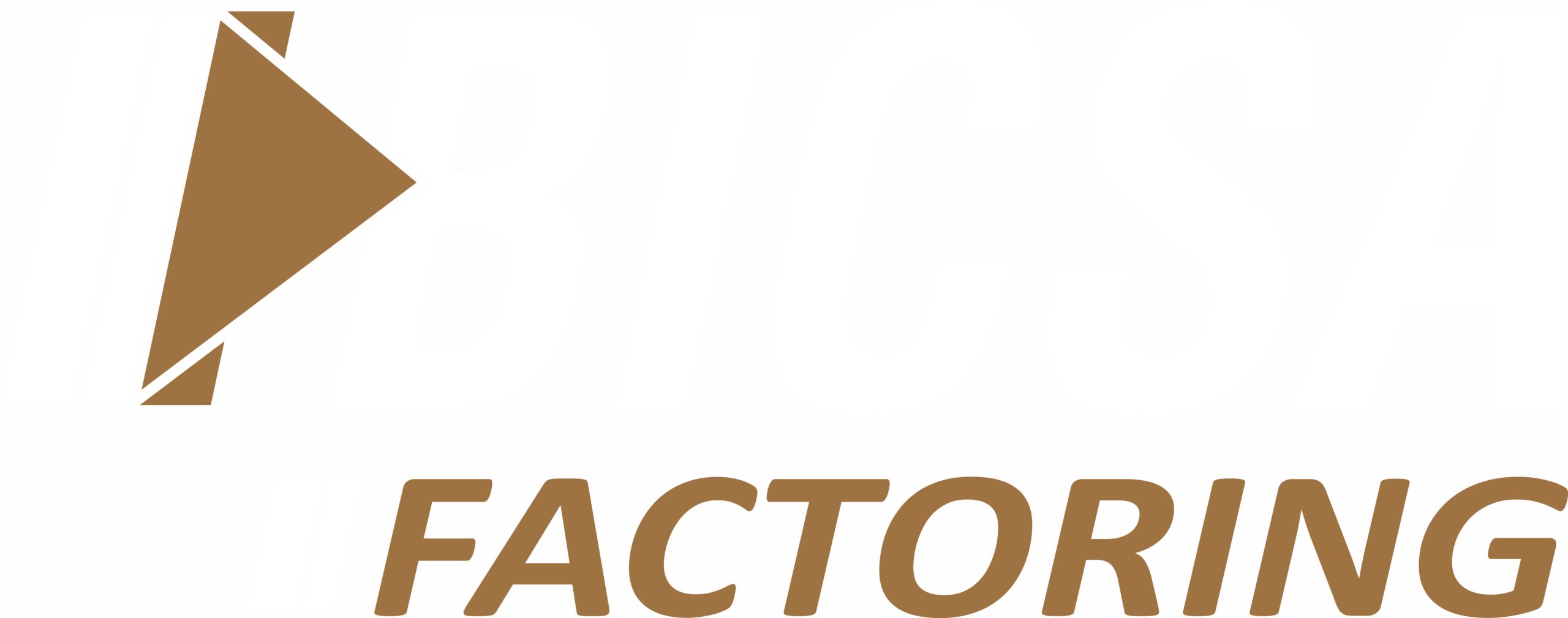 bicsa logo blanco